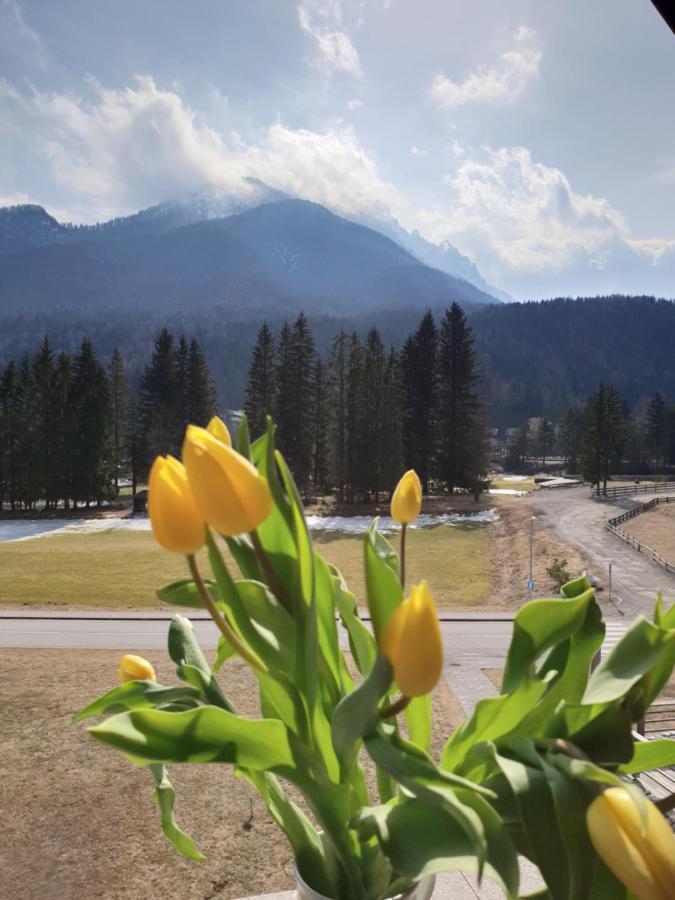 Apartma Kurji Vrh - Chicken Top Kranjska Gora Buitenkant foto