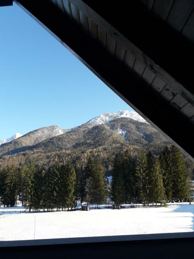 Apartma Kurji Vrh - Chicken Top Kranjska Gora Buitenkant foto