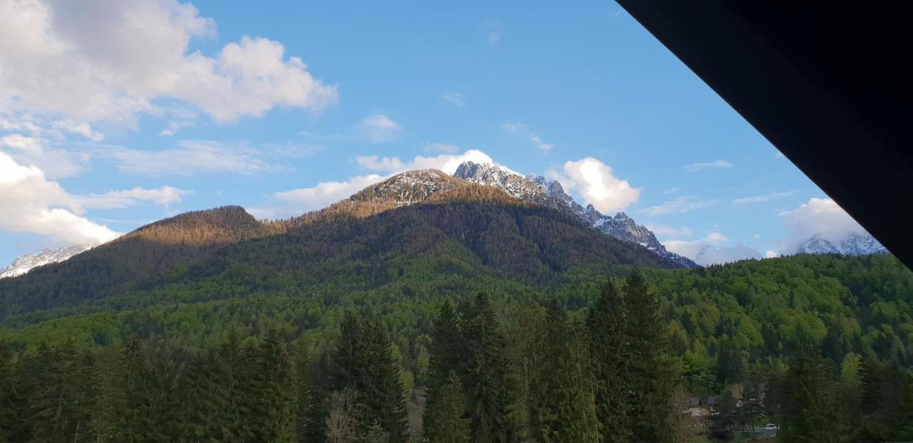 Apartma Kurji Vrh - Chicken Top Kranjska Gora Buitenkant foto